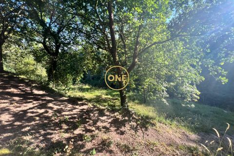 Helårsgrund i Amares, Braga, Amares - € 22.000 | Ref: ONE141548-40 - foto 9