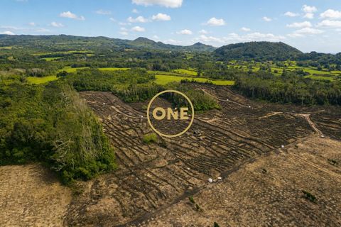 Helårsgrund i Madalena, Pico, Madalena - € 165.000 | Ref: ONE401676-18 - foto 2