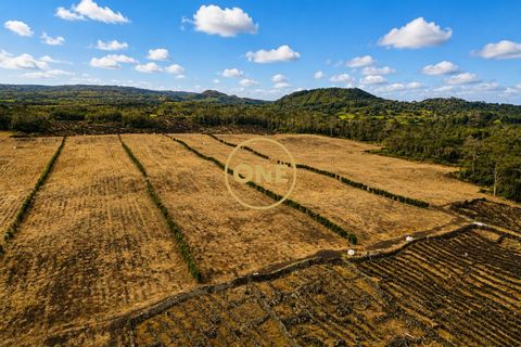 Helårsgrund i Madalena, Pico, Madalena - € 165.000 | Ref: ONE401676-18 - foto 3