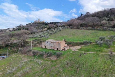 Herregård i Campofilone, Fermo, Campofilone - € 170 000 | Ref: 115263 - foto 4