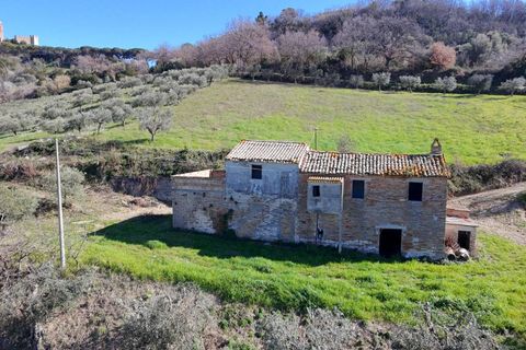 Herregård i Campofilone, Fermo, Campofilone - € 170 000 | Ref: 115263 - foto 5