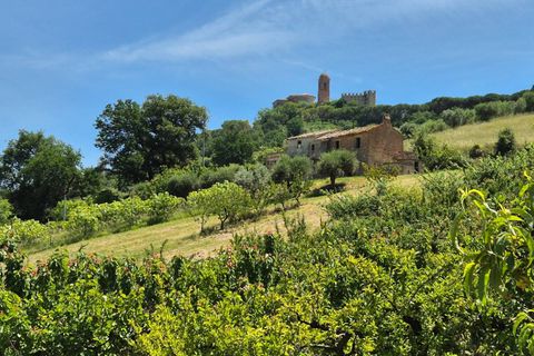 Herregård i Campofilone, Fermo, Campofilone - € 170 000 | Ref: 115263 - foto 6