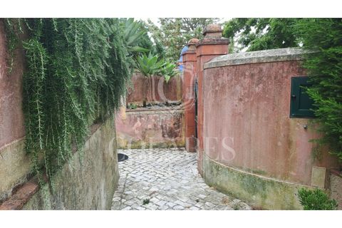 Villa a Sintra, Lisbon, Sintra - € 1.450/mes | Ref: 202606134 - foto 6