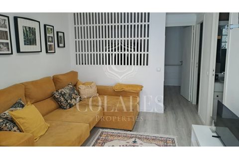 Villa a Sintra, Lisbon, Sintra - € 1.450/mes | Ref: 202606134 - foto 12