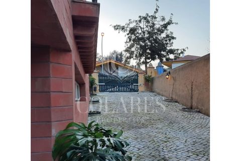 Villa a Sintra, Lisbon, Sintra - € 1.450/mes | Ref: 202606134 - foto 31