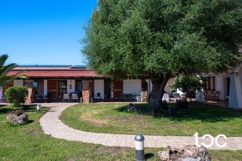Erhvervsejendom i Budoni, Sassari, Budoni - € 3.200.000 | Ref: PO1362 - foto 3