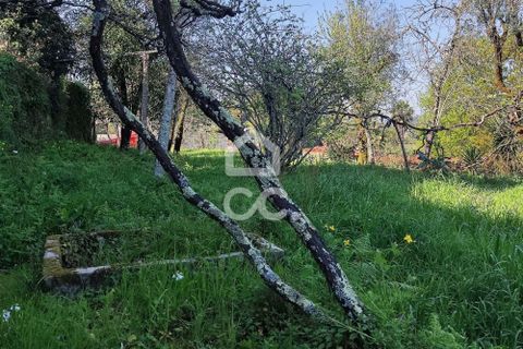 Farm hus i Penafiel, Porto, Penafiel - € 650.000 | Ref: 365/Q/03345 - foto 5