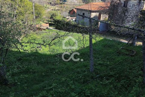 Farm hus i Penafiel, Porto, Penafiel - € 650.000 | Ref: 365/Q/03345 - foto 14