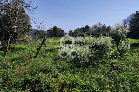 Farm hus i Penafiel, Porto, Penafiel - € 650.000 | Ref: 365/Q/03345 - foto 15