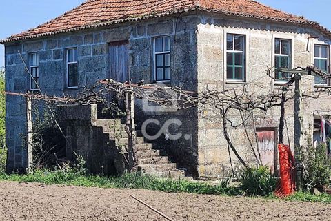 Farm hus i Penafiel, Porto, Penafiel - € 650.000 | Ref: 365/Q/03345 - foto 18