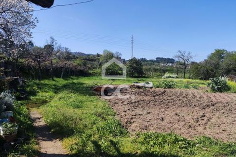 Farm hus i Penafiel, Porto, Penafiel - € 650.000 | Ref: 365/Q/03345 - foto 19