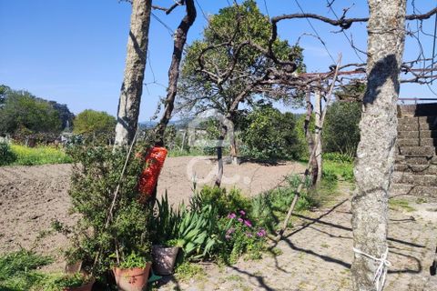 Farm hus i Penafiel, Porto, Penafiel - € 650.000 | Ref: 365/Q/03345 - foto 20