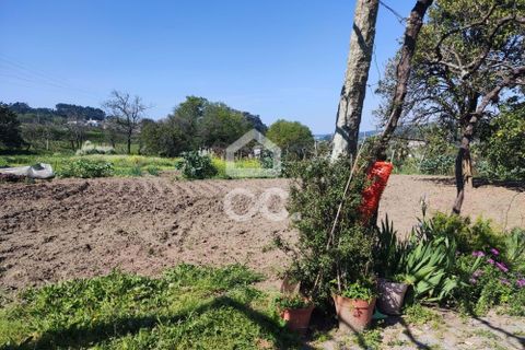 Farm hus i Penafiel, Porto, Penafiel - € 650.000 | Ref: 365/Q/03345 - foto 21
