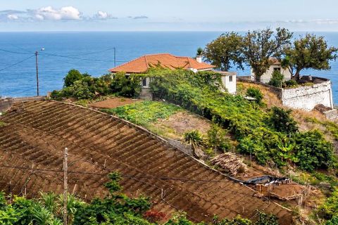 Lejlighed i Santana, Madeira, Santana - € 285.000 | Ref: 123511097-85 - foto 4