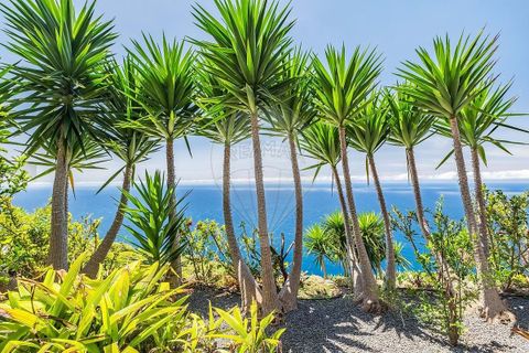 Villa i Calheta, Madeira, Calheta - € 2.500.000 | Ref: 123511036-1191 - foto 14