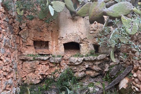 Helårsgrund i Costitx, Mallorca, Costitx - € 290.000 | Ref: 1030 - foto 1