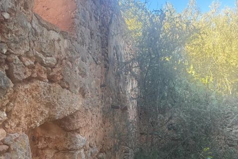 Helårsgrund i Costitx, Mallorca, Costitx - € 290.000 | Ref: 1030 - foto 2