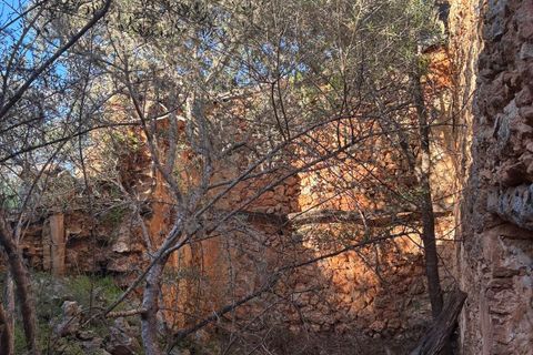 Helårsgrund i Costitx, Mallorca, Costitx - € 290.000 | Ref: 1030 - foto 3