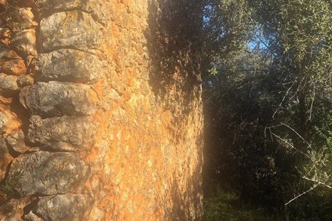 Helårsgrund i Costitx, Mallorca, Costitx - € 290.000 | Ref: 1030 - foto 5