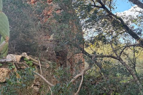 Helårsgrund i Costitx, Mallorca, Costitx - € 290.000 | Ref: 1030 - foto 6
