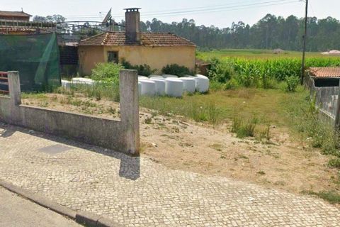 Bungalow i Estarreja, Aveiro, Estarreja - € 325.000 | Ref: 934638 - foto 3