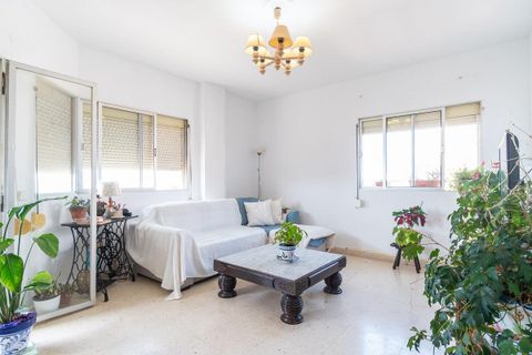 Apartament a Torrevieja, Alicante - foto 3