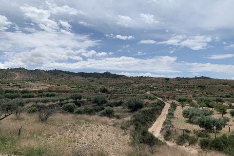 Landejendom i Macisvenda, Murcia, Macisvenda - € 29.950 | Ref: BML8664 - foto 31