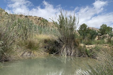 Landejendom i Macisvenda, Murcia, Macisvenda - € 29.950 | Ref: BML8664 - foto 34