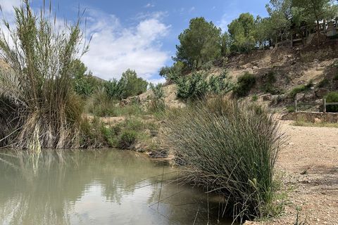Landejendom i Macisvenda, Murcia, Macisvenda - € 29.950 | Ref: BML8664 - foto 36