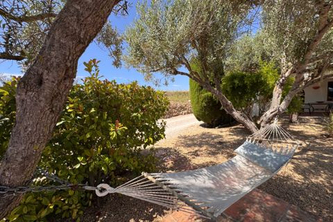 Finca i Teulada, Alicante, Teulada - € 775.000 | Ref: F0212 - foto 6