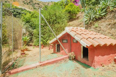 Herregård i Jete, Granada, Jete - € 389 000 | Ref: 745 - foto 33