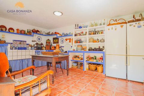 Herregård i Jete, Granada, Jete - € 389 000 | Ref: 745 - foto 50