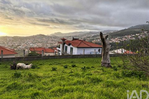 Byhus i Funchal, Madeira, Funchal - € 445.000 | Ref: 958689 - foto 6