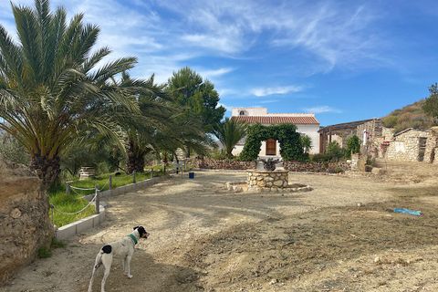 Herregård i Sorbas, Almeria, Sorbas - € 210 000 | Ref: SOR-26-740 - foto 2