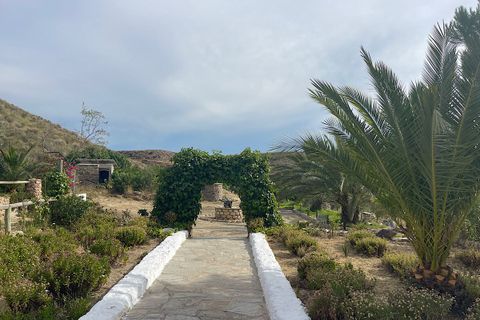 Herregård i Sorbas, Almeria, Sorbas - € 210 000 | Ref: SOR-26-740 - foto 31