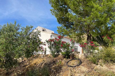Herregård i Sorbas, Almeria, Sorbas - € 210 000 | Ref: SOR-26-740 - foto 43