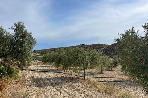 Herregård i Sorbas, Almeria, Sorbas - € 210 000 | Ref: SOR-26-740 - foto 45