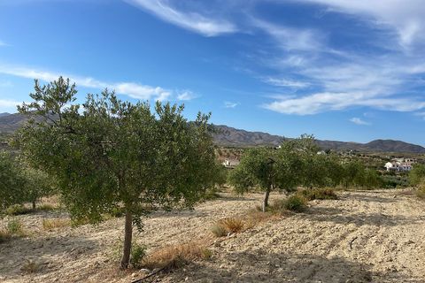 Herregård i Sorbas, Almeria, Sorbas - € 210 000 | Ref: SOR-26-740 - foto 46