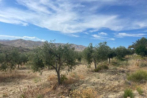 Herregård i Sorbas, Almeria, Sorbas - € 210 000 | Ref: SOR-26-740 - foto 47