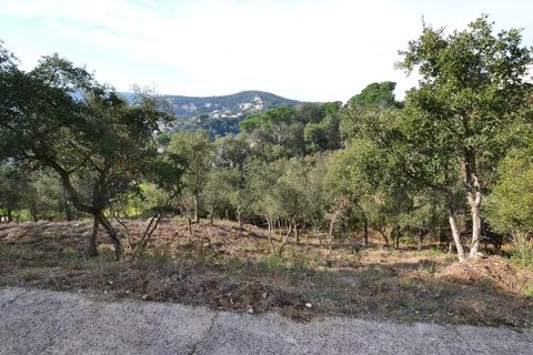 Helårsgrund i Calonge, Gerona, Calonge - € 90.000 | Ref: RDOP-397 - foto 2
