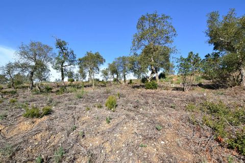 Helårsgrund i Calonge, Gerona, Calonge - € 90.000 | Ref: RDOP-357 - foto 1