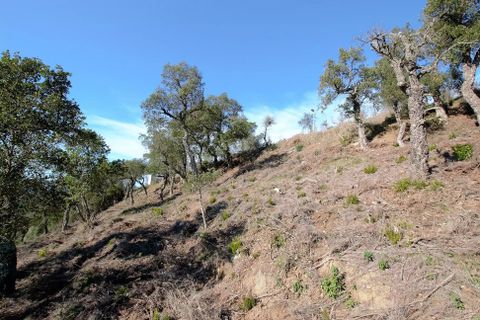 Helårsgrund i Calonge, Gerona, Calonge - € 90.000 | Ref: RDOP-354 - foto 2