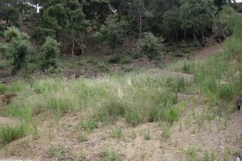 Grond in Calonge, Gerona, Calonge - € 105.000 | Ref: RDOP-419 - foto 7