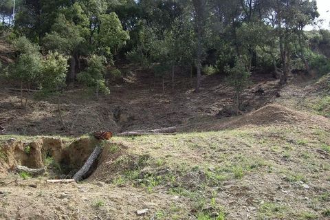 Grond in Calonge, Gerona, Calonge - € 105.000 | Ref: RDOP-419 - foto 8