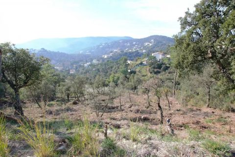 Grond in Calonge, Gerona, Calonge - € 74.000 | Ref: RDOP-423 - foto 2