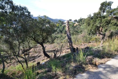 Grond in Calonge, Gerona, Calonge - € 74.000 | Ref: RDOP-423 - foto 4