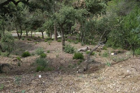 Grond in Calonge, Gerona, Calonge - € 74.000 | Ref: RDOP-423 - foto 7