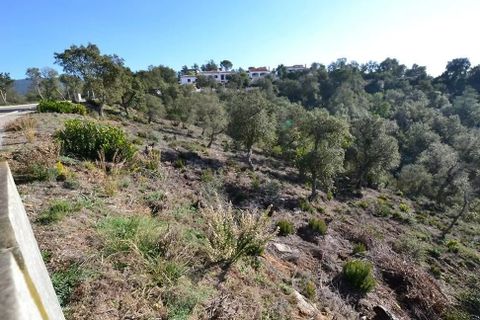 Terra em Calonge, Gerona, Calonge - € 105.000 | Ref: RDOP-358 - foto 2