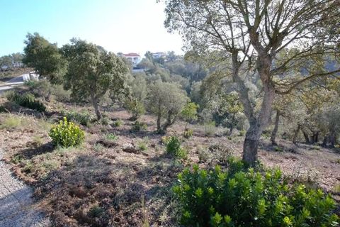 Terra em Calonge, Gerona, Calonge - € 105.000 | Ref: RDOP-358 - foto 4