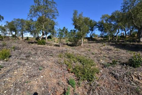 Terra em Calonge, Gerona, Calonge - € 105.000 | Ref: RDOP-358 - foto 6